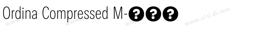 Ordina Compressed M字体转换